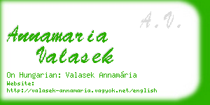 annamaria valasek business card